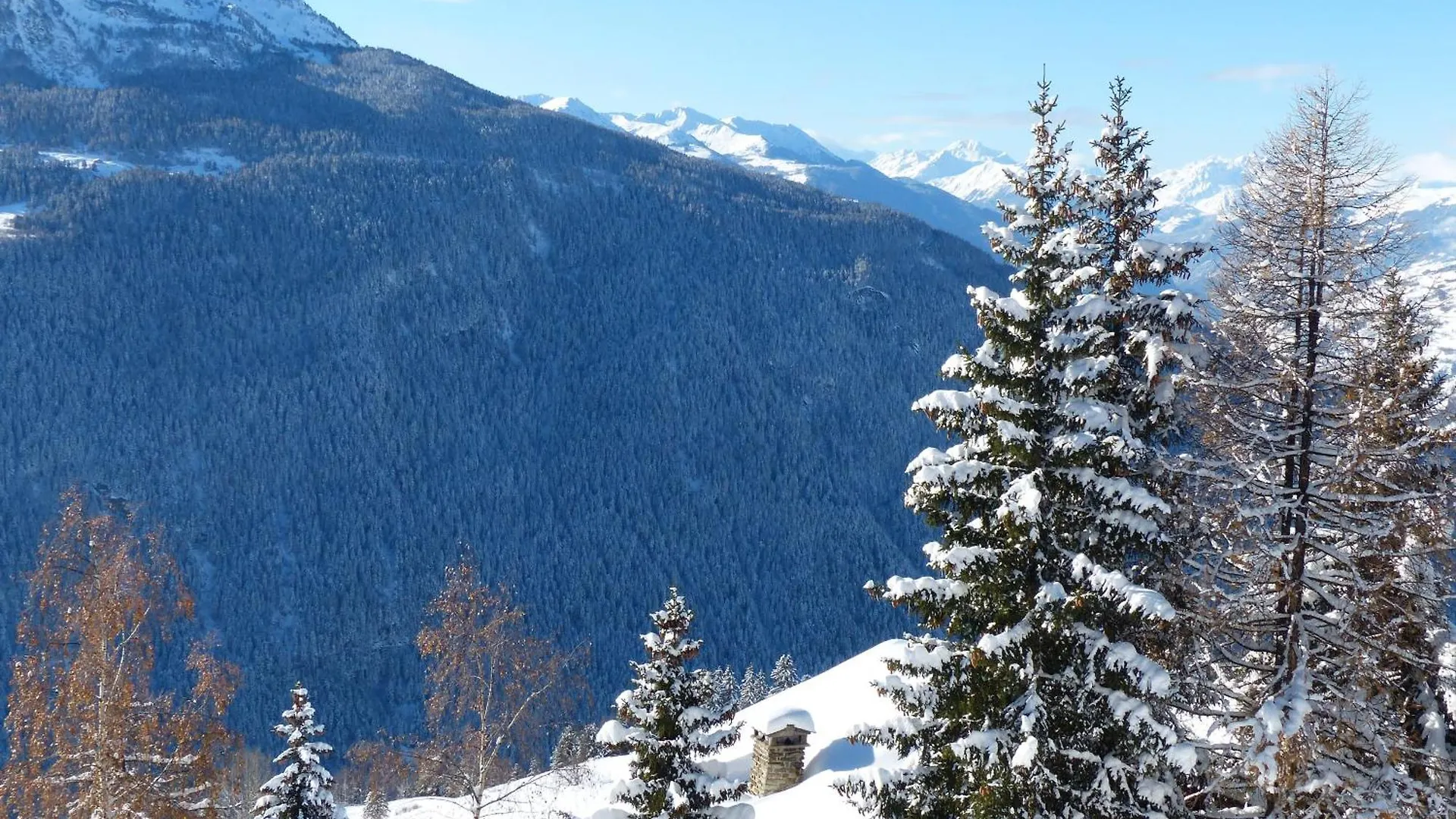 Appartement Dans Un Chalet Typique De Montagne A La Rosiere Montvalezan 0*,